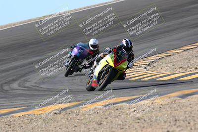 media/Jan-13-2024-SoCal Trackdays (Sat) [[9c032fe5aa]]/Bowl Exit Set 1 (1125am)/